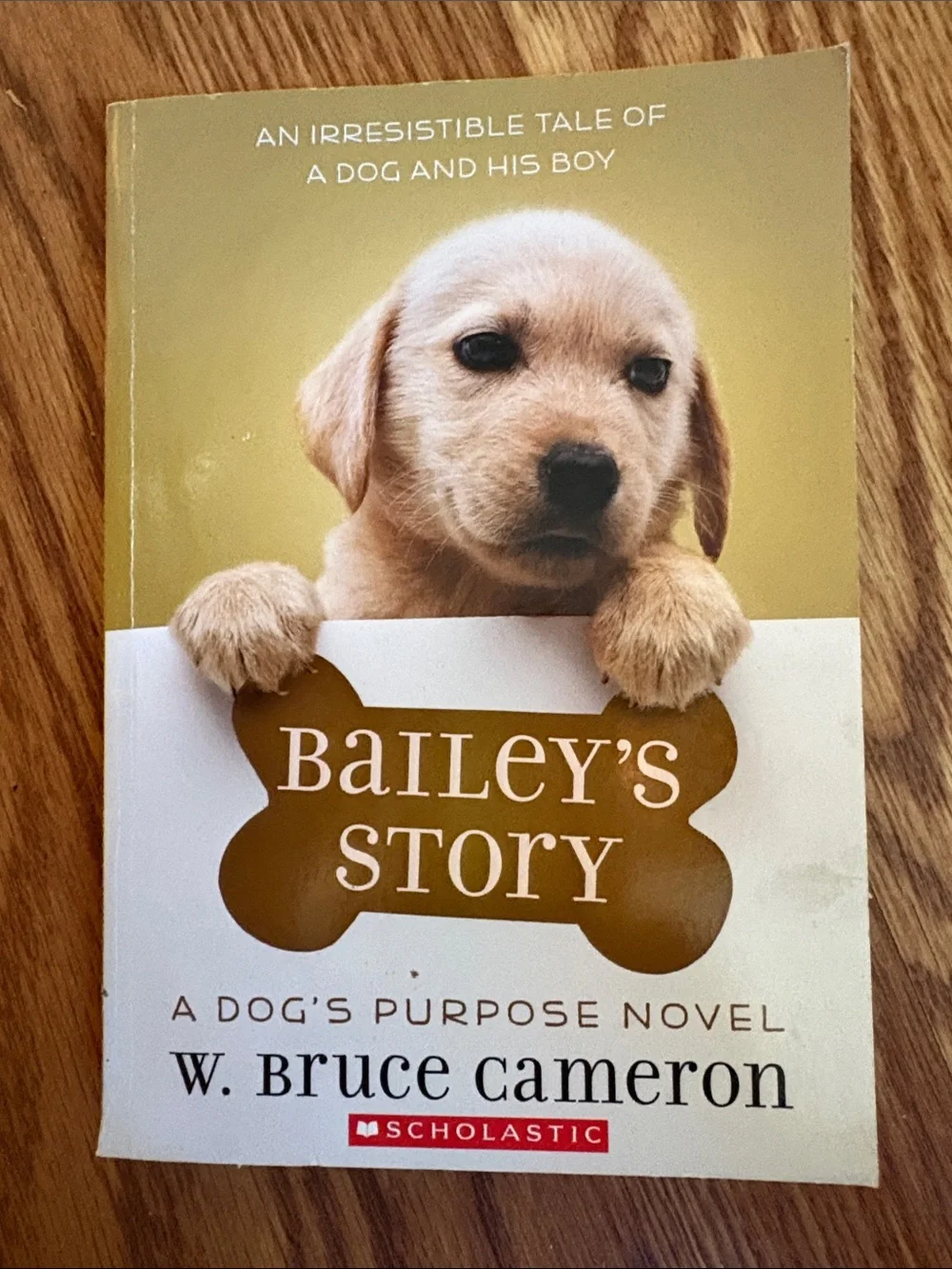 Scholastic Puppy Cover Book - Cream, Tan